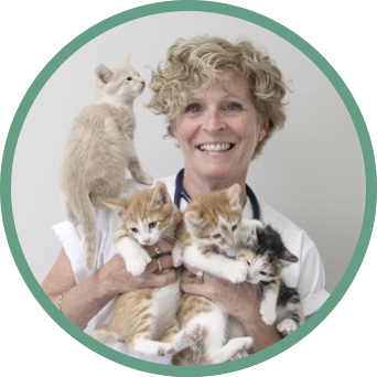 michele-potvin-veterinaire