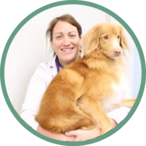 evelyne-lebrun-veterinaire