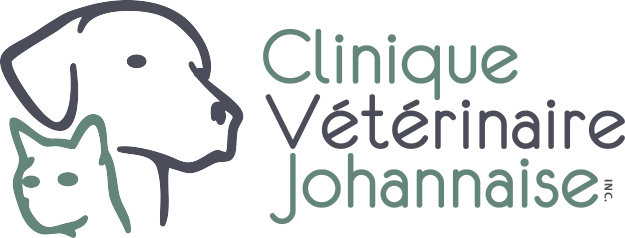 clinique-veterinaire-johannaise